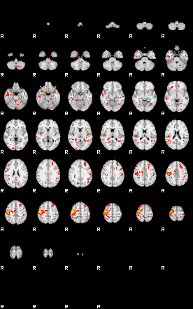 Patient:8;component:170