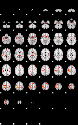 Patient:8;component:178