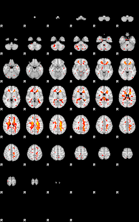 Patient:8;component:197