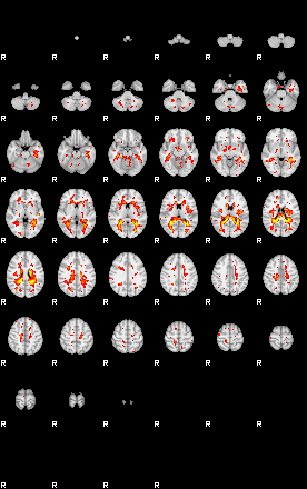 Patient:8;component:20