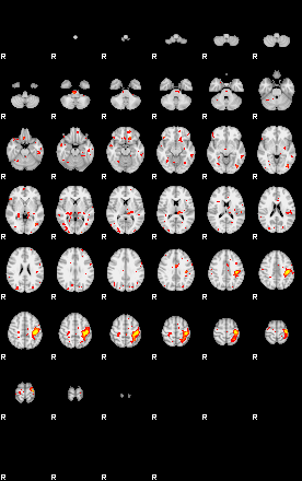 Patient:8;component:21