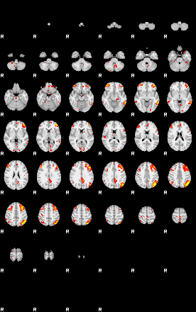 Patient:8;component:36