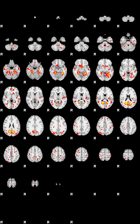 Patient:8;component:68