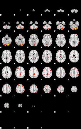 Patient:8;component:78