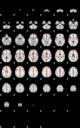 Patient:8;component:81