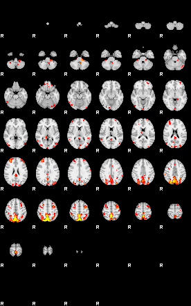 Patient:8;component:84