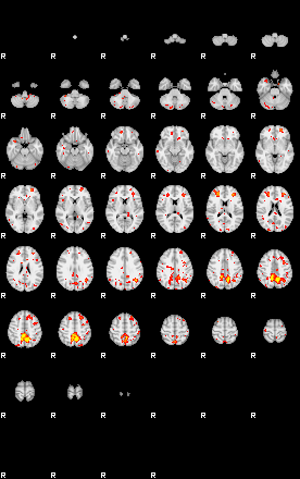 Patient:8;component:91