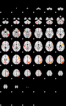 Patient:9;component:109