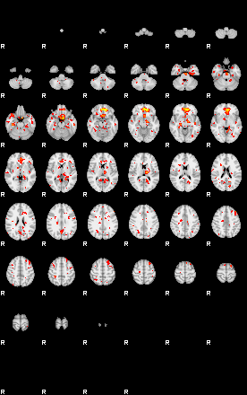 Patient:9;component:117