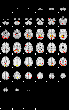 Patient:9;component:177