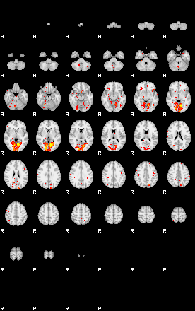 Patient:9;component:181