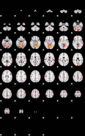 Patient:9;component:191