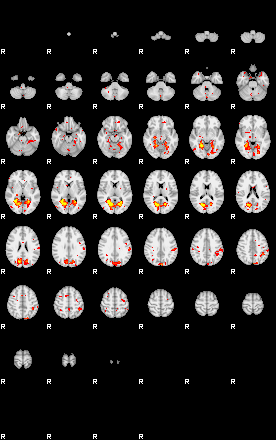 Patient:9;component:29